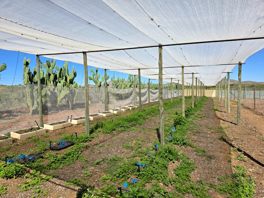 3 Bedroom Property for Sale in Upington Rural Northern Cape